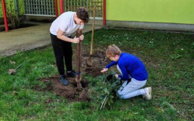 Zeleni otisak naše škole: Vrijedne ruke cvjećara uredile školski park
