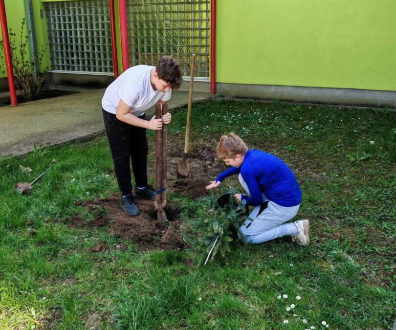 Zeleni otisak naše škole: Vrijedne ruke cvjećara uredile školski park